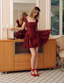 The Ancora Red Lace Mini Dress
