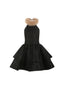 The Black Swan Prelude Mini Dress