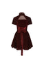 The Red Wine Velvet Bubble Dress