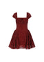 The Ancora Red Lace Mini Dress