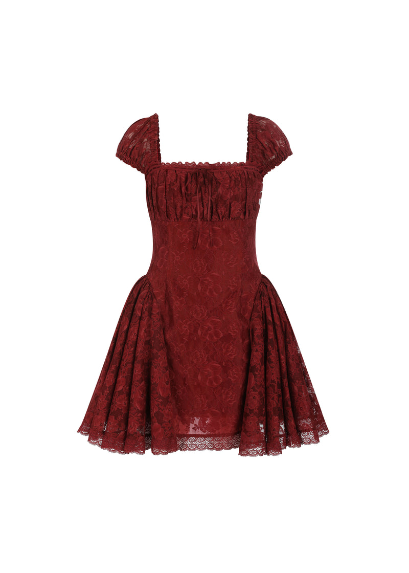 The Ancora Red Lace Mini Dress