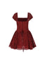 The Ancora Red Lace Mini Dress