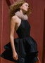 The Black Swan Prelude Mini Dress