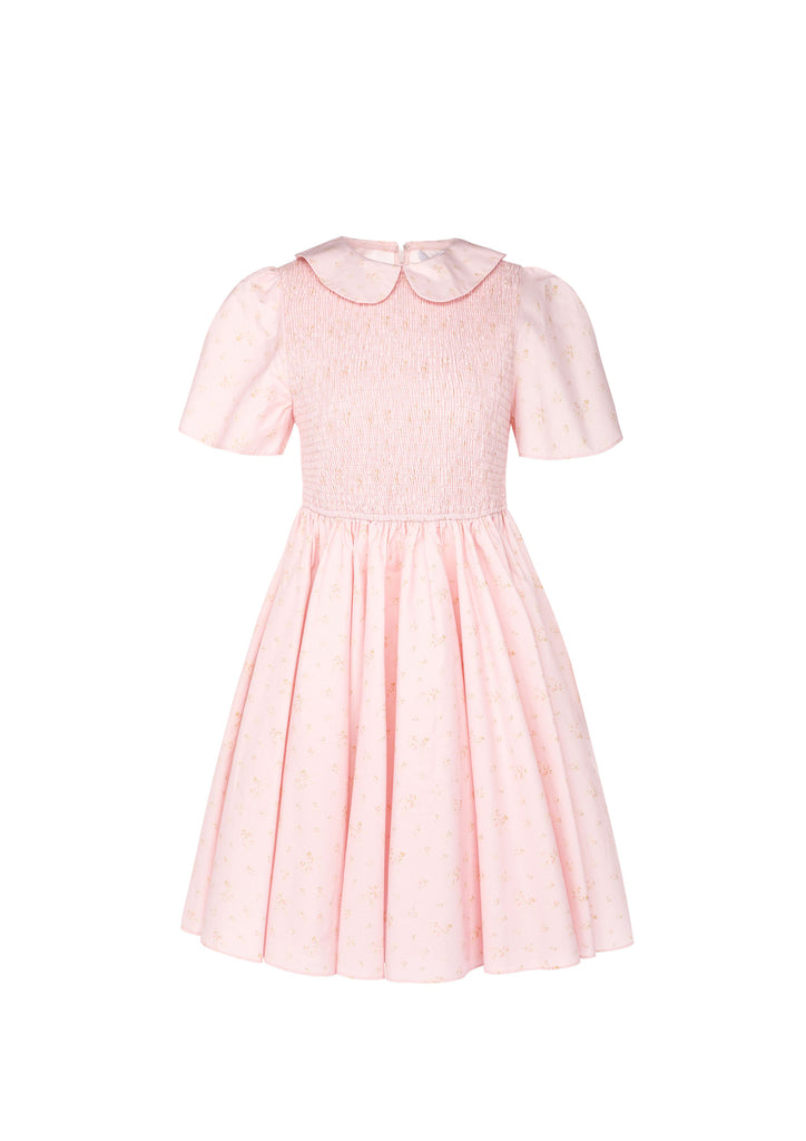 Picnic Mini Dress - Pink Shabby Rose