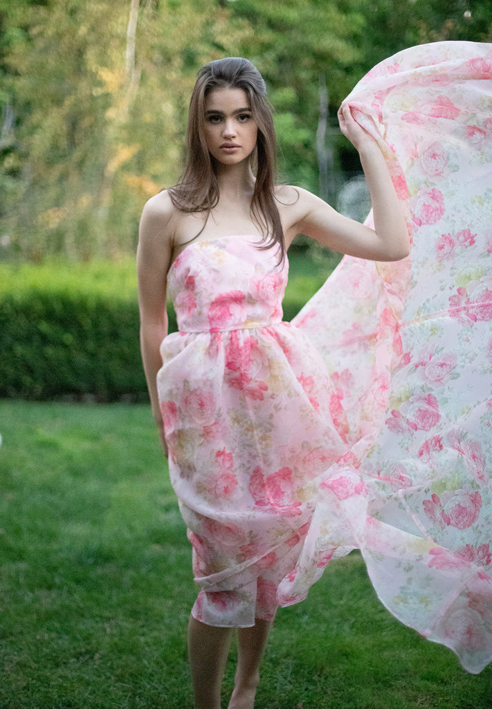 The Fairytale Gown - Baby Pink Garden