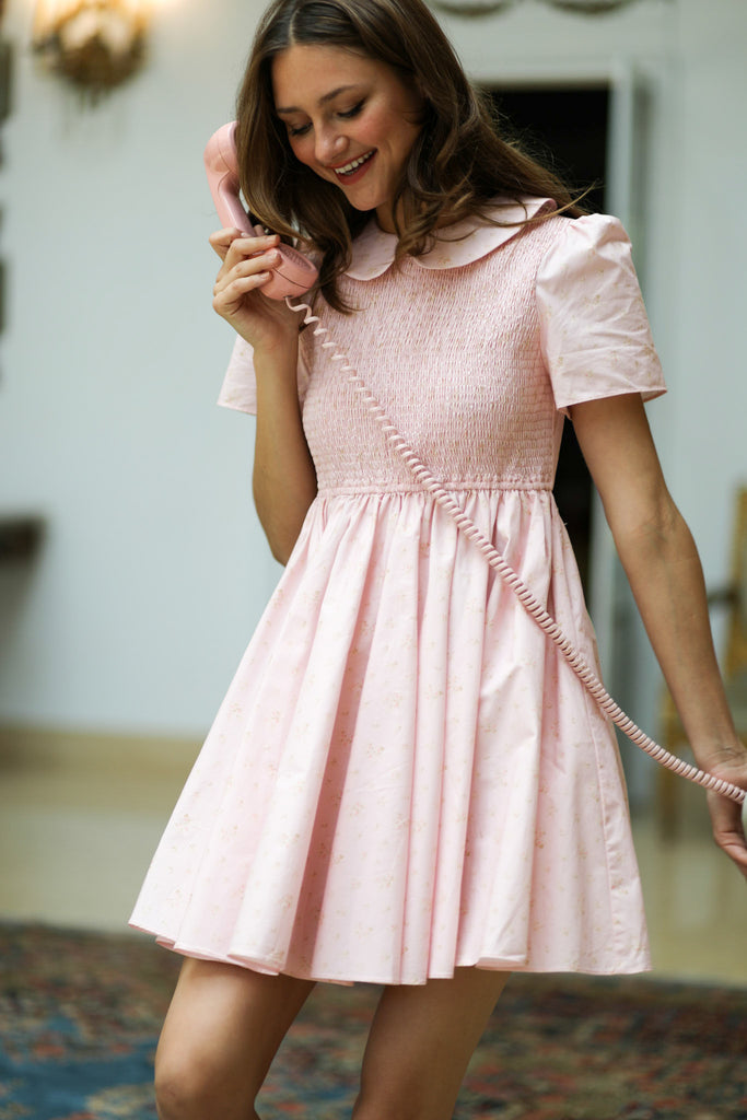 Picnic Mini Dress - Pink Shabby Rose